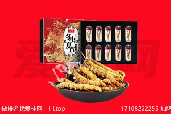 渭南回收虫草.jpg